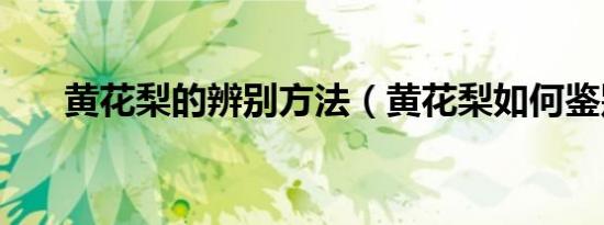 黄花梨的辨别方法（黄花梨如何鉴别）