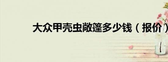大众甲壳虫敞篷多少钱（报价）