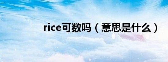 rice可数吗（意思是什么）