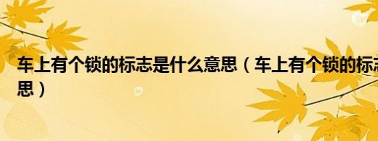 车上有个锁的标志是什么意思（车上有个锁的标志是什么意思）