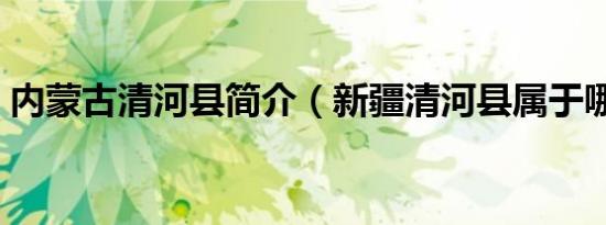内蒙古清河县简介（新疆清河县属于哪个市）