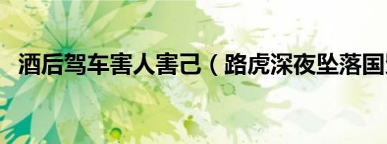 酒后驾车害人害己（路虎深夜坠落国贸桥）