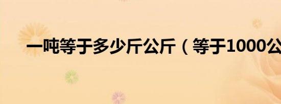 一吨等于多少斤公斤（等于1000公斤）