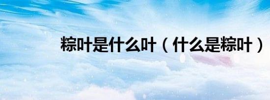 粽叶是什么叶（什么是粽叶）