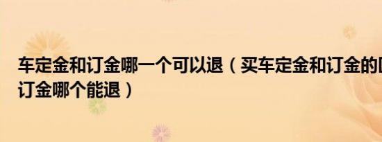 车定金和订金哪一个可以退（买车定金和订金的区别定金与订金哪个能退）