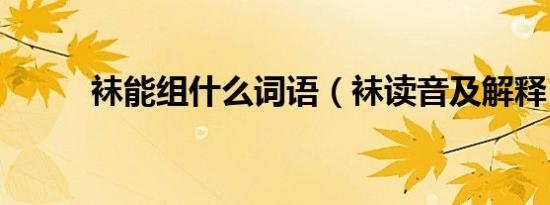 袜能组什么词语（袜读音及解释）