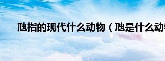 虺指的现代什么动物（虺是什么动物）
