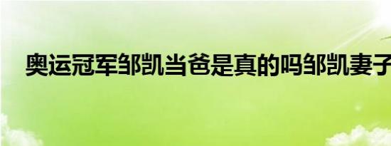 奥运冠军邹凯当爸是真的吗邹凯妻子是谁