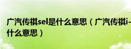 广汽传祺sel是什么意思（广汽传祺i-pedal是什么意思）
