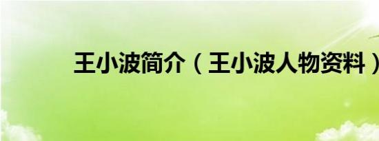 王小波简介（王小波人物资料）
