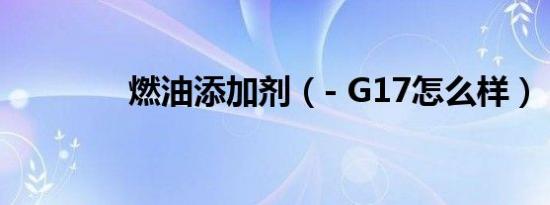燃油添加剂（- G17怎么样）