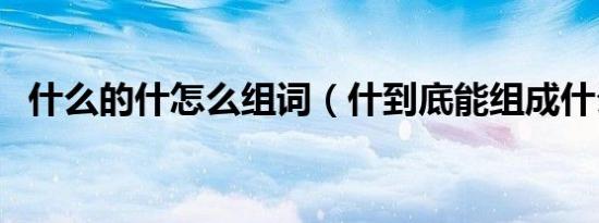 什么的什怎么组词（什到底能组成什么词）