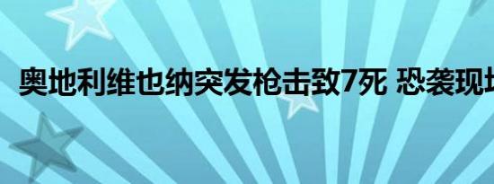 奥地利维也纳突发枪击致7死 恐袭现场曝光
