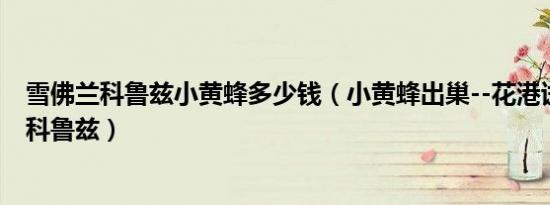 雪佛兰科鲁兹小黄蜂多少钱（小黄蜂出巢--花港试驾雪佛兰科鲁兹）