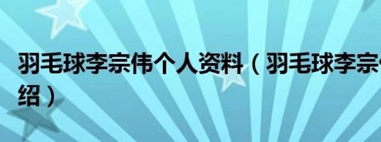 羽毛球李宗伟个人资料（羽毛球李宗伟个人介绍）