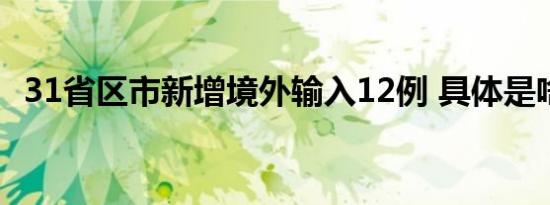 31省区市新增境外输入12例 具体是啥情况