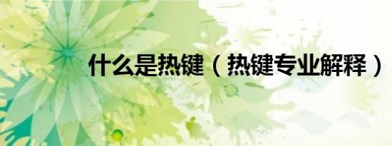 什么是热键（热键专业解释）