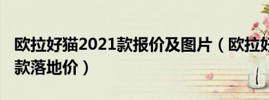 欧拉好猫2021款报价及图片（欧拉好猫2021款落地价）