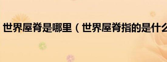 世界屋脊是哪里（世界屋脊指的是什么地方）