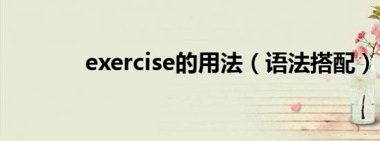 exercise的用法（语法搭配）