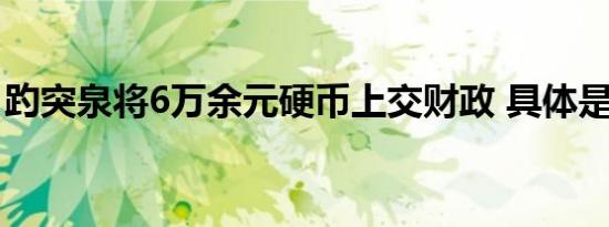 趵突泉将6万余元硬币上交财政 具体是啥情况