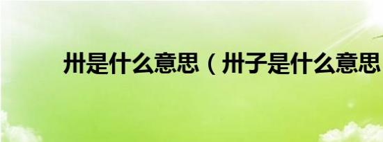 卅是什么意思（卅子是什么意思）