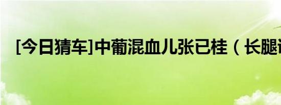 [今日猜车]中葡混血儿张已桂（长腿诱惑）