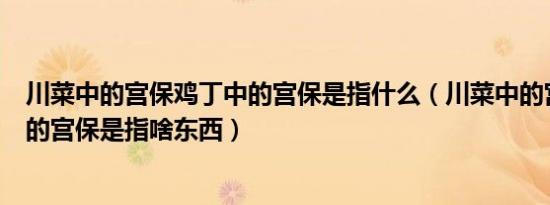 川菜中的宫保鸡丁中的宫保是指什么（川菜中的宫保鸡丁中的宫保是指啥东西）