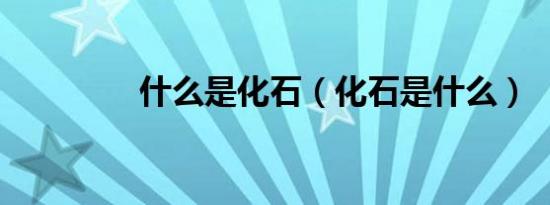 什么是化石（化石是什么）