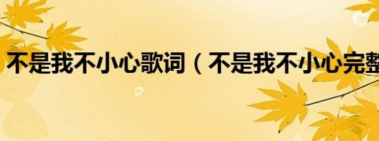 不是我不小心歌词（不是我不小心完整歌词）