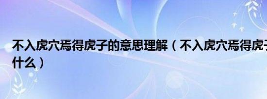 不入虎穴焉得虎子的意思理解（不入虎穴焉得虎子的意思是什么）