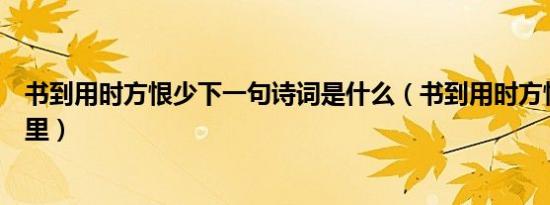 书到用时方恨少下一句诗词是什么（书到用时方恨少出自哪里）