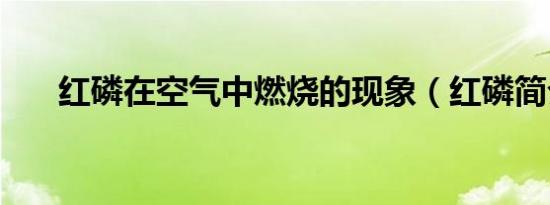 红磷在空气中燃烧的现象（红磷简介）