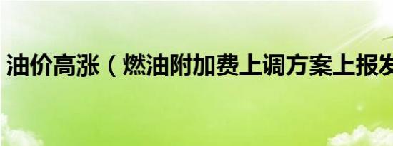 油价高涨（燃油附加费上调方案上报发改委）