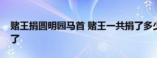 赌王捐圆明园马首 赌王一共捐了多少个兽首了