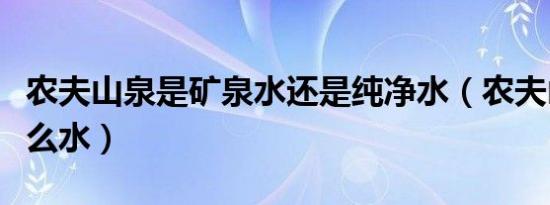 农夫山泉是矿泉水还是纯净水（农夫山泉是什么水）