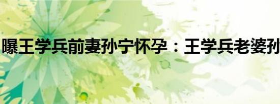 曝王学兵前妻孙宁怀孕：王学兵老婆孙宁照片