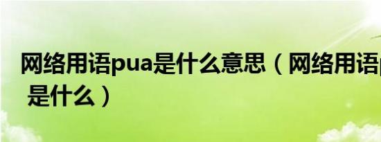 网络用语pua是什么意思（网络用语pua意思 是什么）