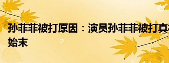 孙菲菲被打原因：演员孙菲菲被打真相及事件始末