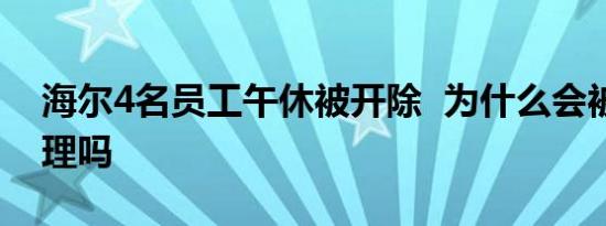 海尔4名员工午休被开除 为什么会被开除合理吗