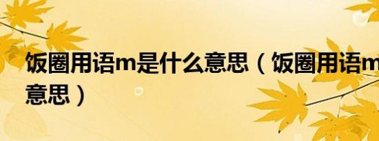 饭圈用语m是什么意思（饭圈用语mt是什么意思）