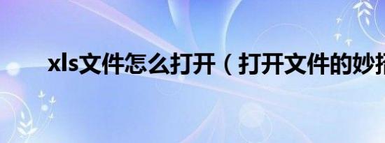 xls文件怎么打开（打开文件的妙招）