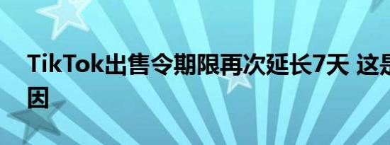 TikTok出售令期限再次延长7天 这是什么原因