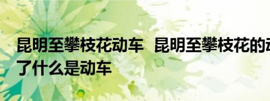 昆明至攀枝花动车 昆明至攀枝花的动车怎么了什么是动车