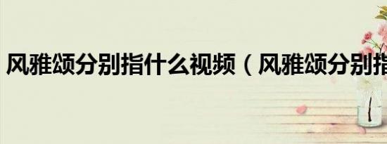 风雅颂分别指什么视频（风雅颂分别指什么）