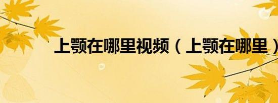 上颚在哪里视频（上颚在哪里）