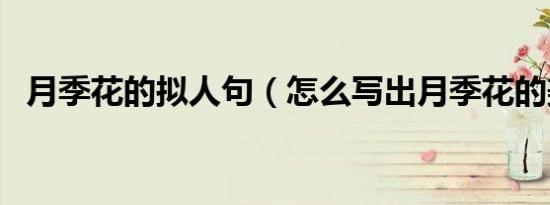 月季花的拟人句（怎么写出月季花的美丽）