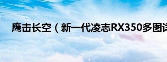 鹰击长空（新一代凌志RX350多图详解）
