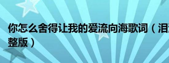 你怎么舍得让我的爱流向海歌词（泪海歌词完整版）