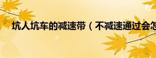 坑人坑车的减速带（不减速通过会怎样）